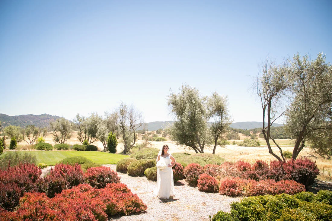 San Luis Obispo Wedding and Family Photographer 036.jpg