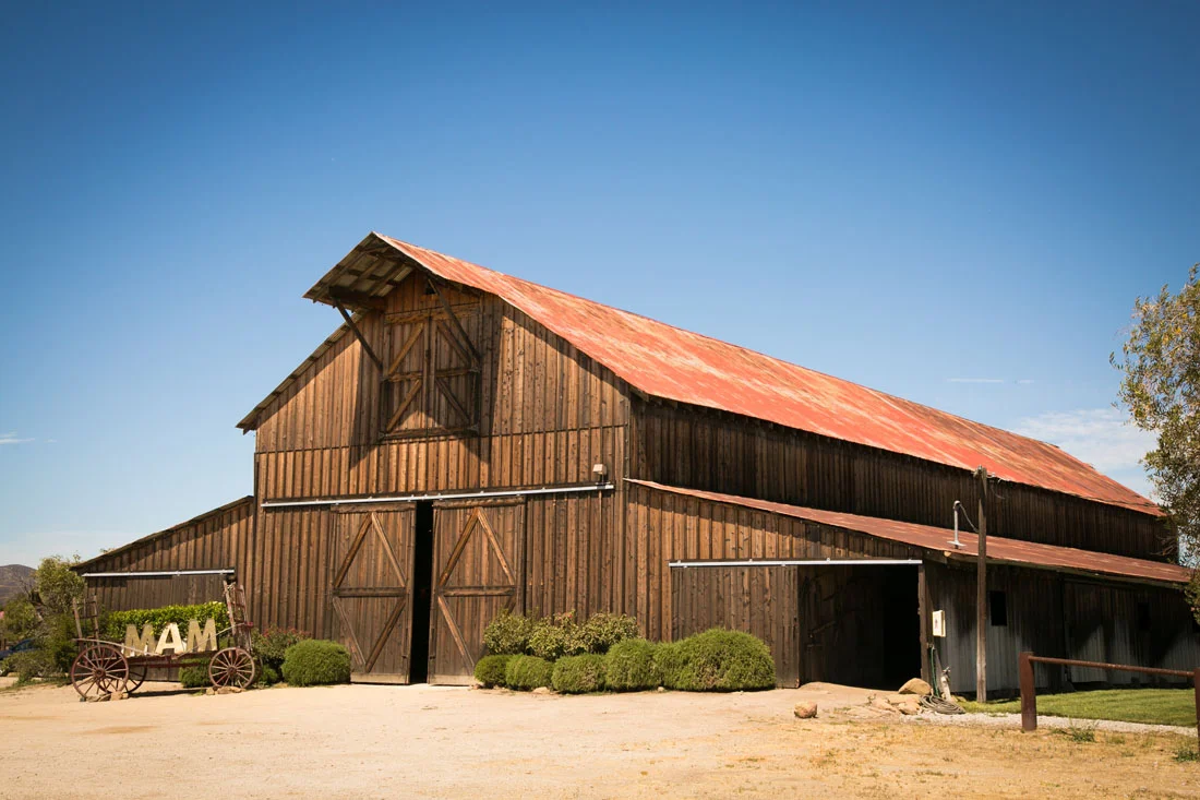 San Luis Obispo Wedding and Family Photographer 103.jpg