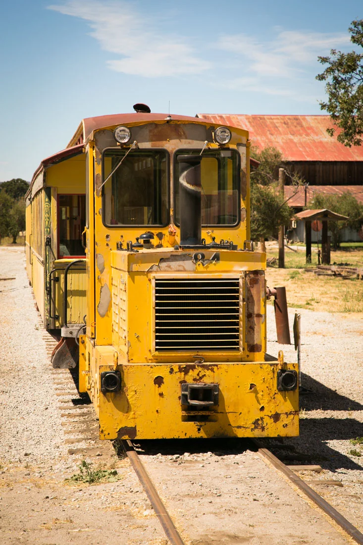 San Luis Obispo Wedding and Family Photographer 102.jpg