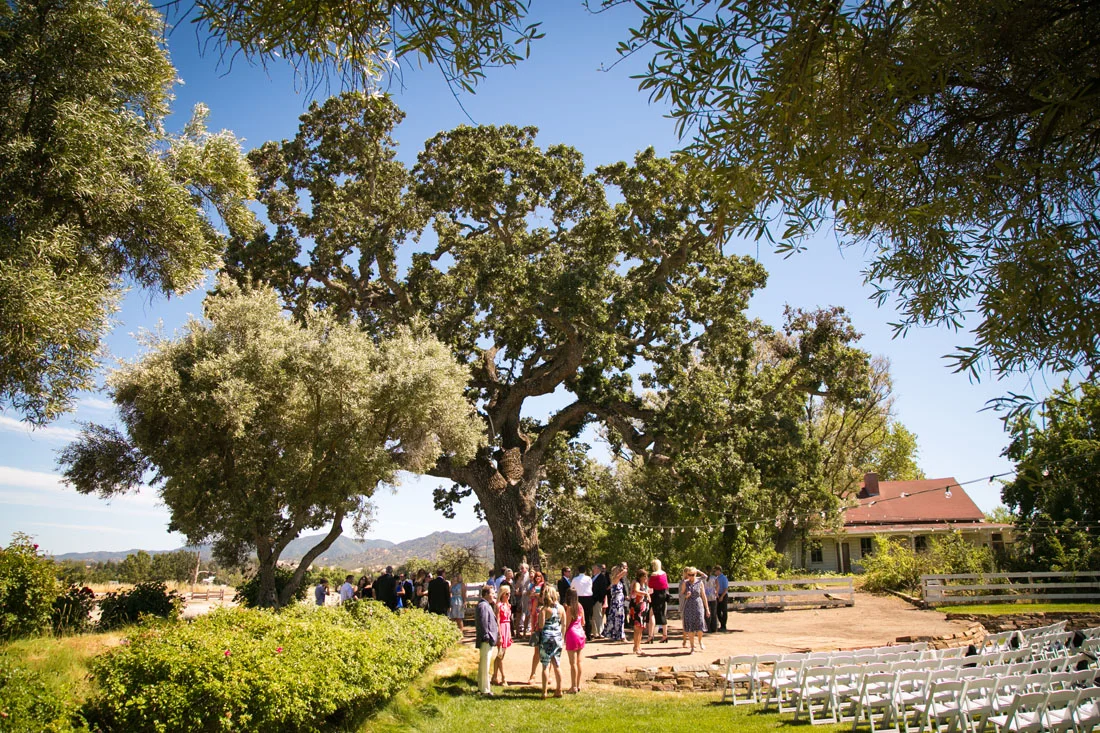 San Luis Obispo Wedding and Family Photographer 112.jpg