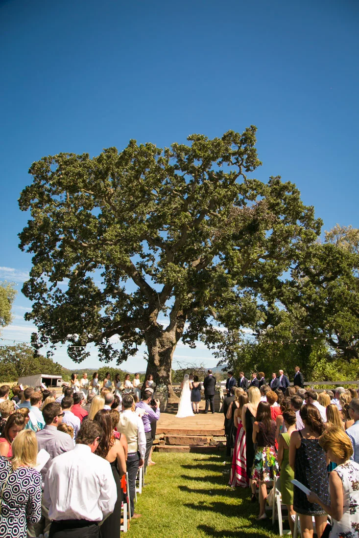 San Luis Obispo Wedding and Family Photographer 116.jpg