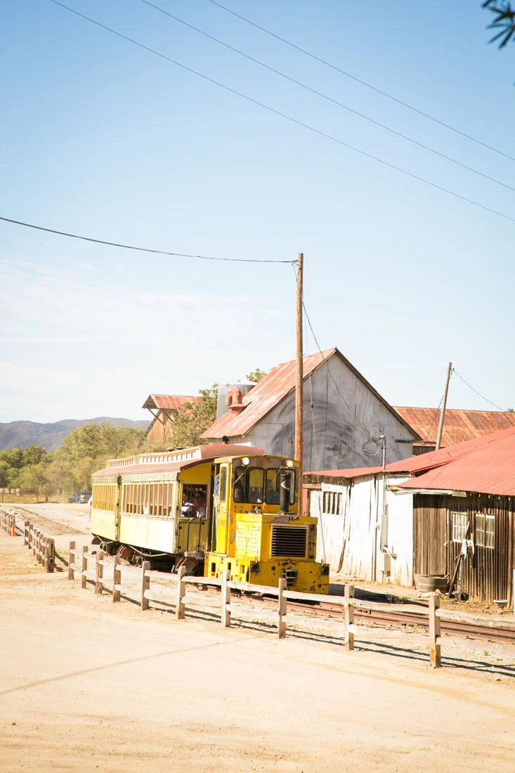 San Luis Obispo Wedding and Family Photographer 132.jpg