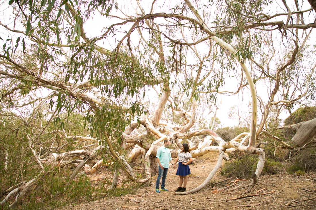 San Luis Obispo Wedding and Family Photographer 064.jpg