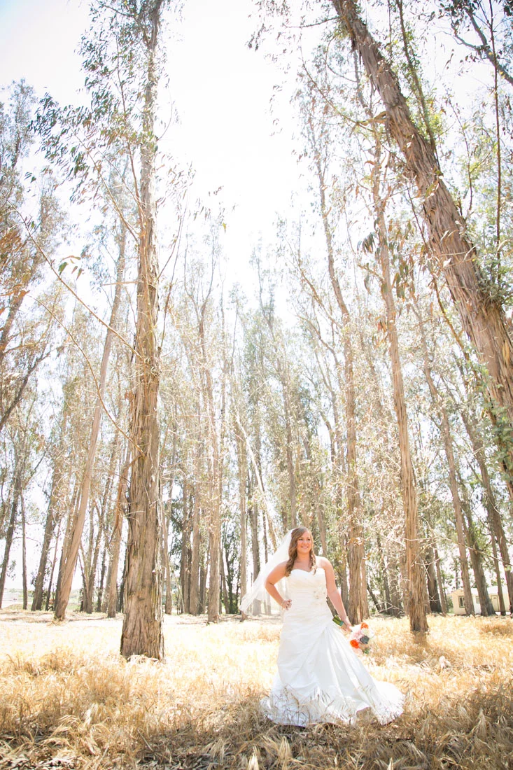 San Luis Obispo Wedding Photographer 014.jpg