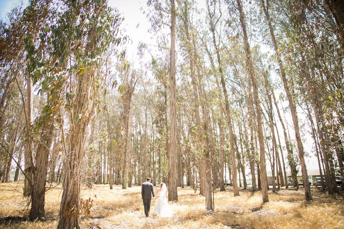 San Luis Obispo Wedding Photographer 033.jpg