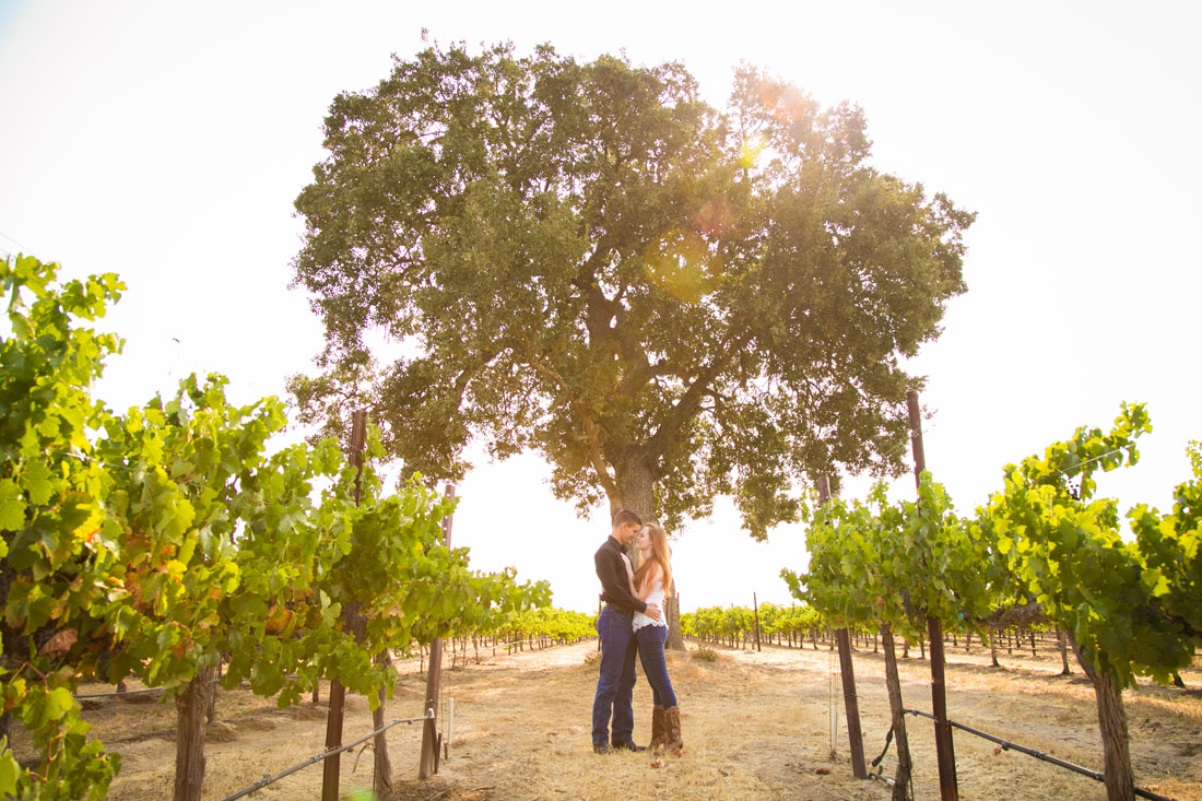 Paso Robles Family and Wedding Photographer 023.jpg