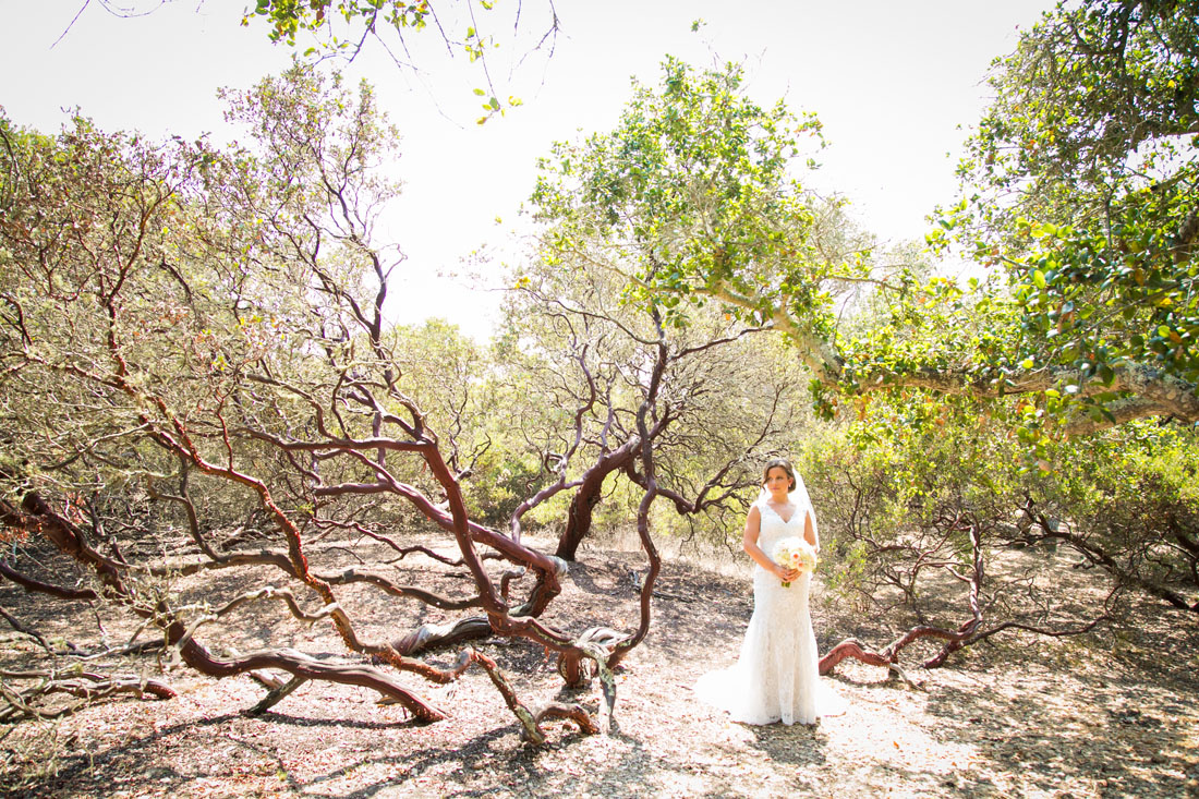 San Luis Obispo Wedding Photographer Tiber Canyon 200.jpg