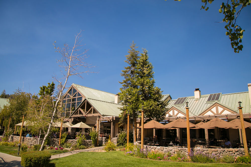 Yosemite Wedding Photographer Tenaya Lodge002.jpg