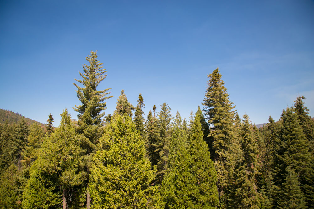 Yosemite Wedding Photographer Tenaya Lodge001.jpg