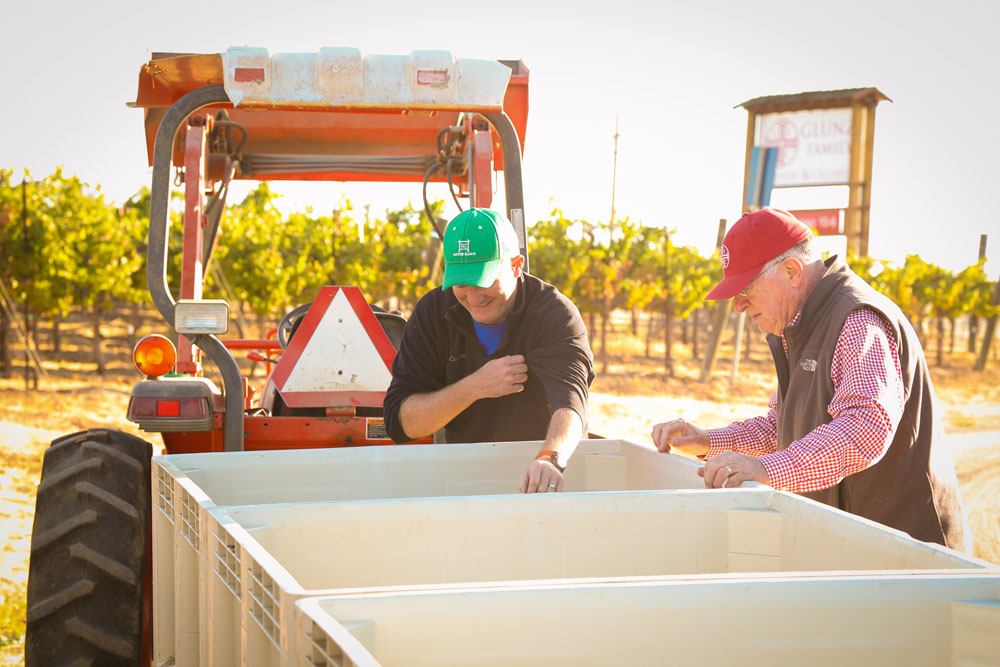 Paso Robles Family and Wedding Photographer Glunz Family Winery 001.jpg