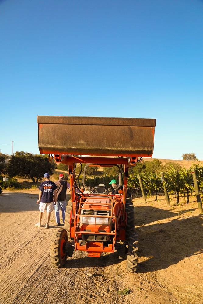 Paso Robles Family and Wedding Photographer Glunz Family Winery 005.jpg