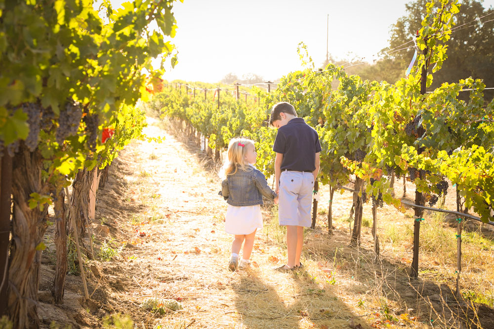 Paso Robles Family and Wedding Photographer Glunz Family Winery 014.jpg