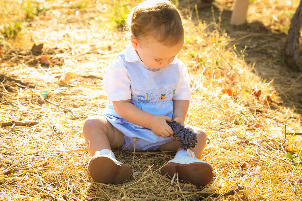 Paso Robles Family and Wedding Photographer Glunz Family Winery 033.jpg