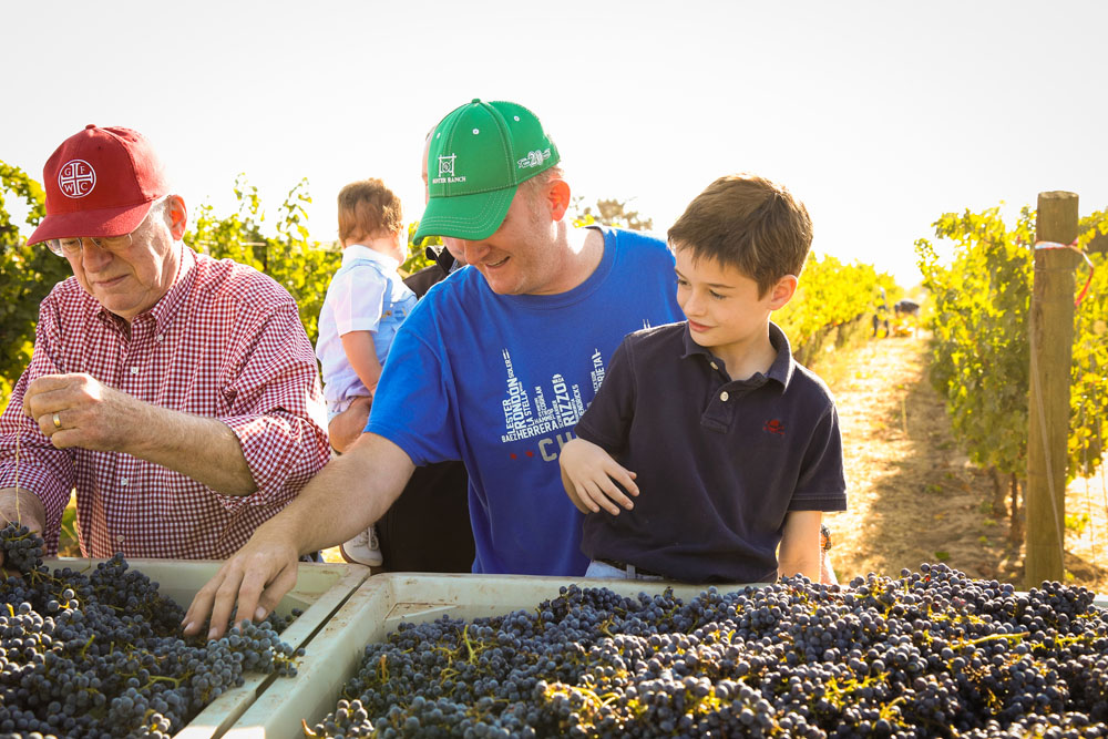 Paso Robles Family and Wedding Photographer Glunz Family Winery 071.jpg