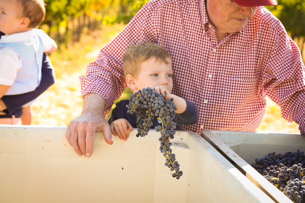 Paso Robles Family and Wedding Photographer Glunz Family Winery 081.jpg