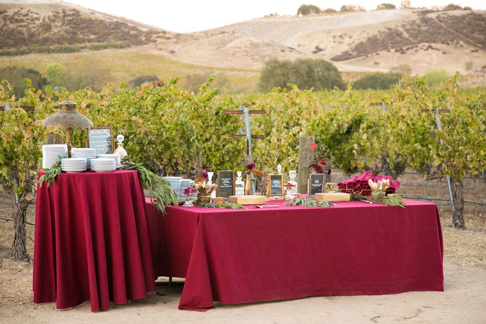 Paso Robles Wedding Photographer Vintage Ranch 159.jpg