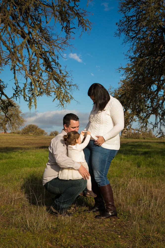 Paso Robles Wedding and Family Photographer044.jpg