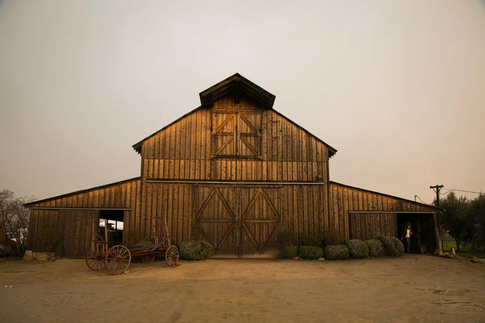Santa Margarita Ranch Wedding Photographer 138.jpg