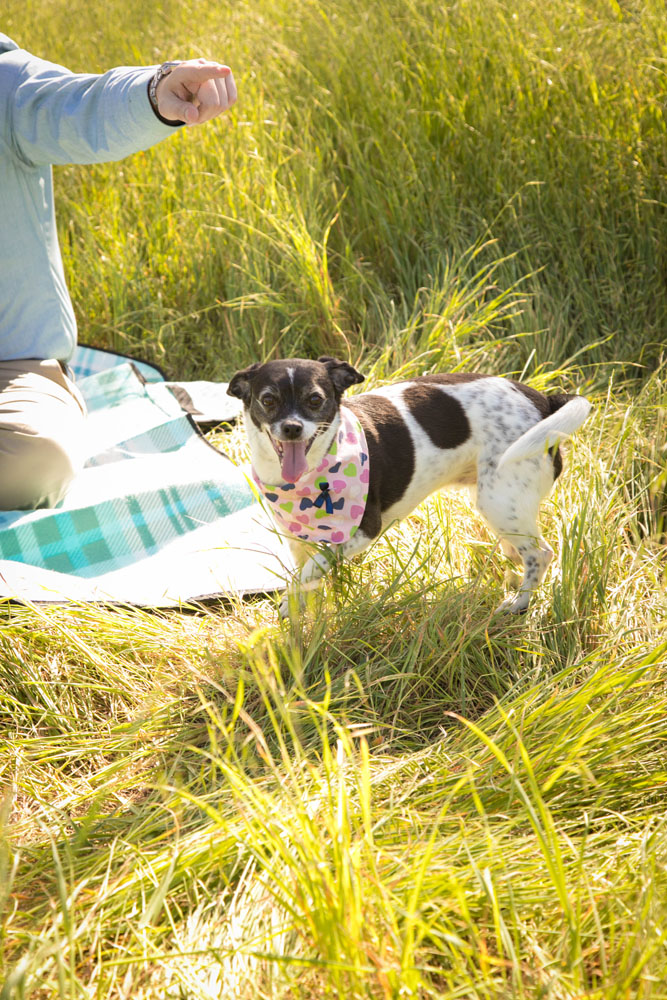 Paso Robles Wedding Photographer Engagement Session  049.jpg