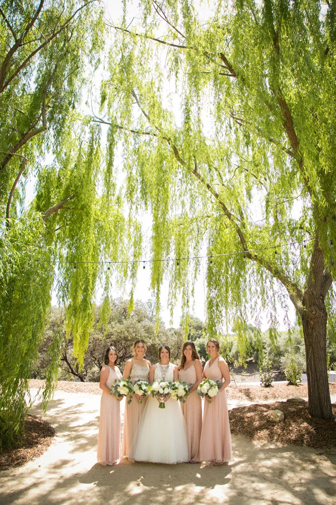 Paso Robles Wedding Photographer Terra Mia Vineyards 009.jpg