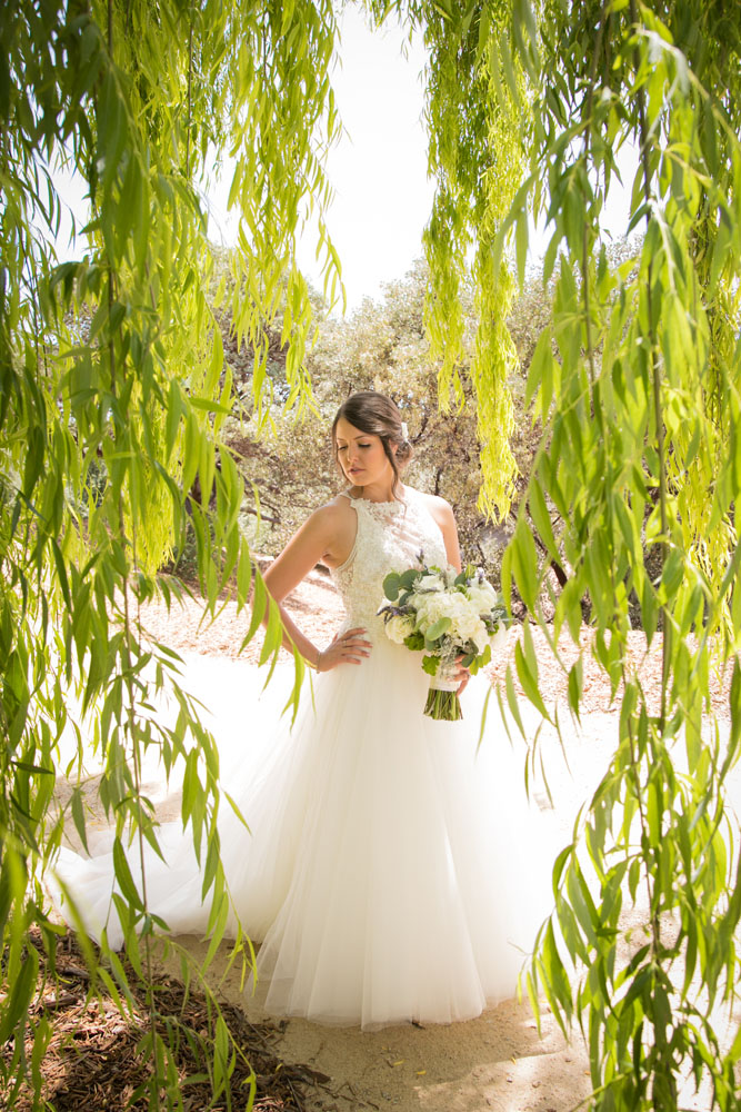 Paso Robles Wedding Photographer Terra Mia Vineyards 018.jpg