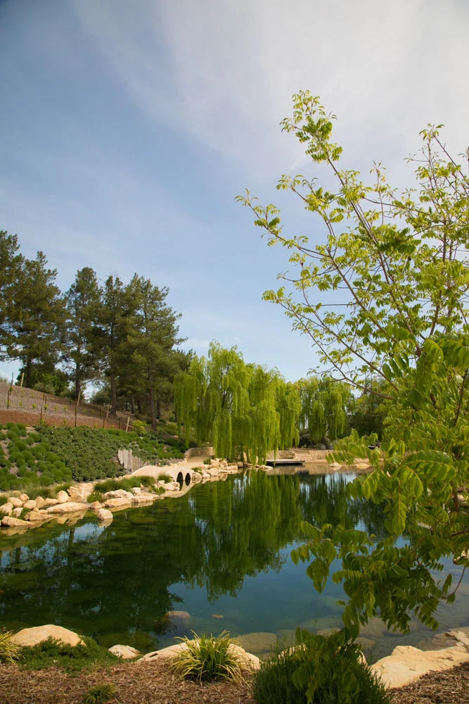 Paso Robles Wedding Photographer Terra Mia Vineyards 072.jpg