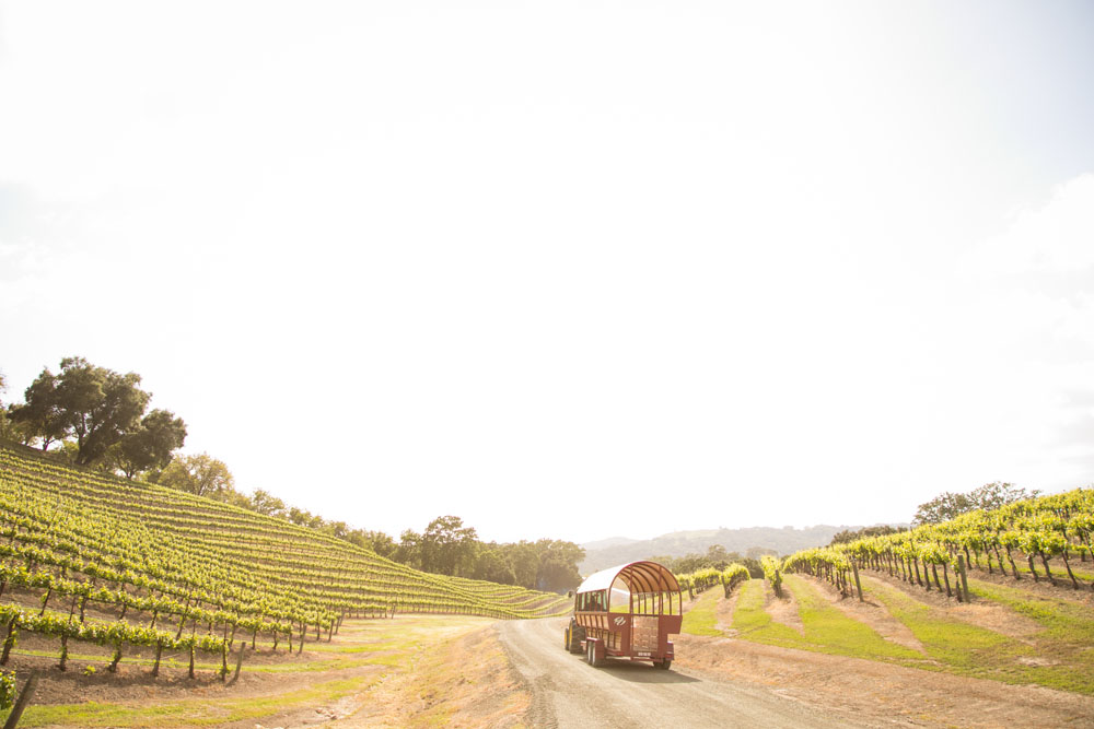 Paso Robles Wedding Photographer Opolo Vineyards 058.jpg