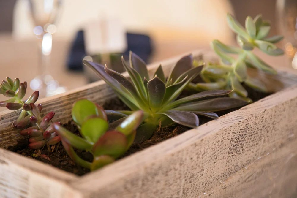 San Luis Obiso Wedding Photographer Edwards Barn 003.jpg