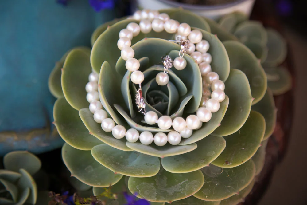 San Luis Obiso Wedding Photographer Edwards Barn 004.jpg