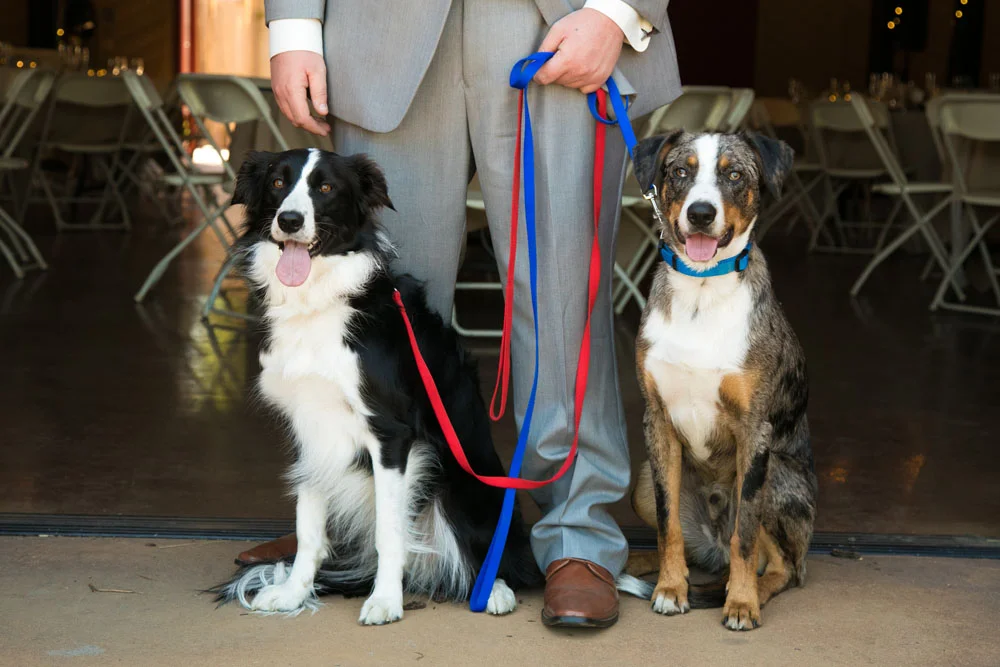 San Luis Obiso Wedding Photographer Edwards Barn 076.jpg