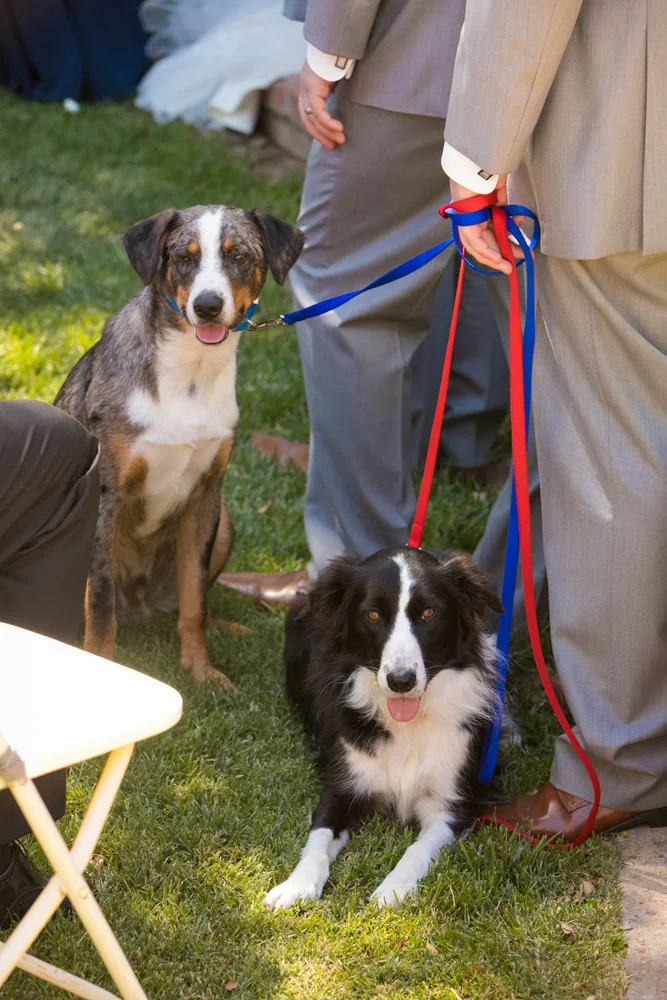 San Luis Obiso Wedding Photographer Edwards Barn 082.jpg