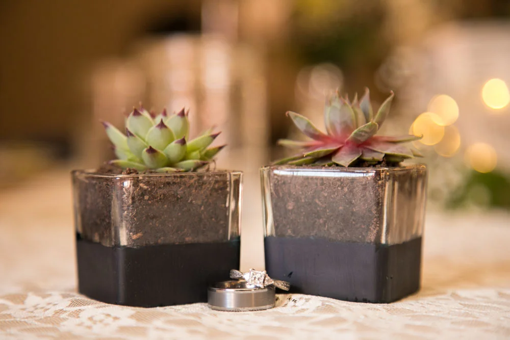 San Luis Obiso Wedding Photographer Edwards Barn 111.jpg