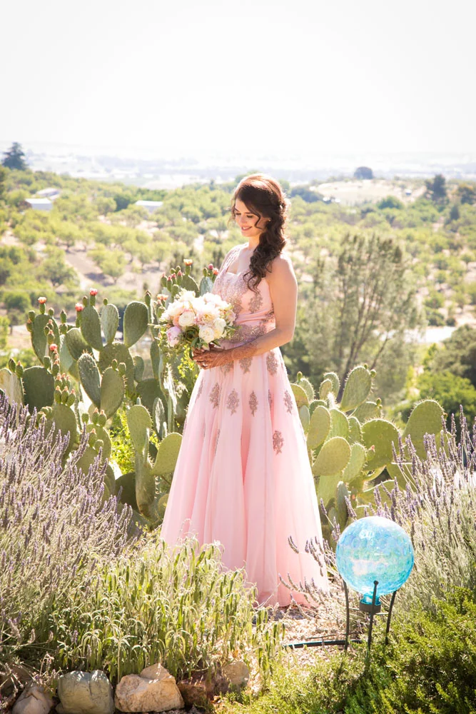 Paso Robles Wedding Photographer 015.jpg