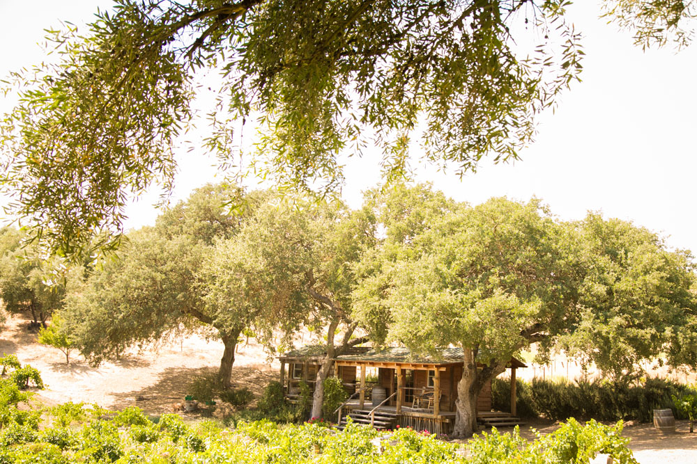 Paso Robles Wedding Photographer Still Waters Vineyards 002.jpg