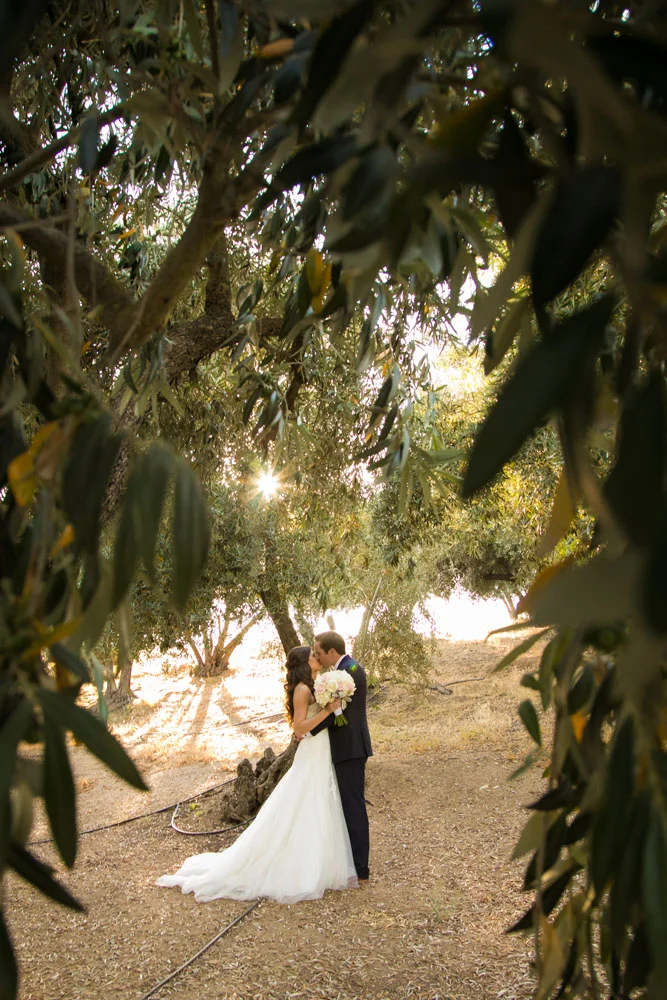 Paso Robles Wedding Photographer Still Waters Vineyards 102.jpg