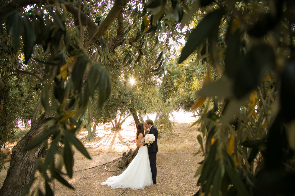 Paso Robles Wedding Photographer Still Waters Vineyards 103.jpg