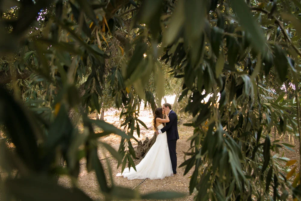 Paso Robles Wedding Photographer Still Waters Vineyards 104.jpg