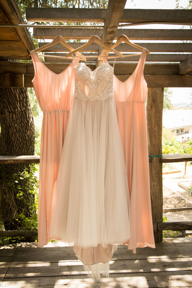 Paso Robles Wedding Photographer Still Waters Vineyard006.jpg