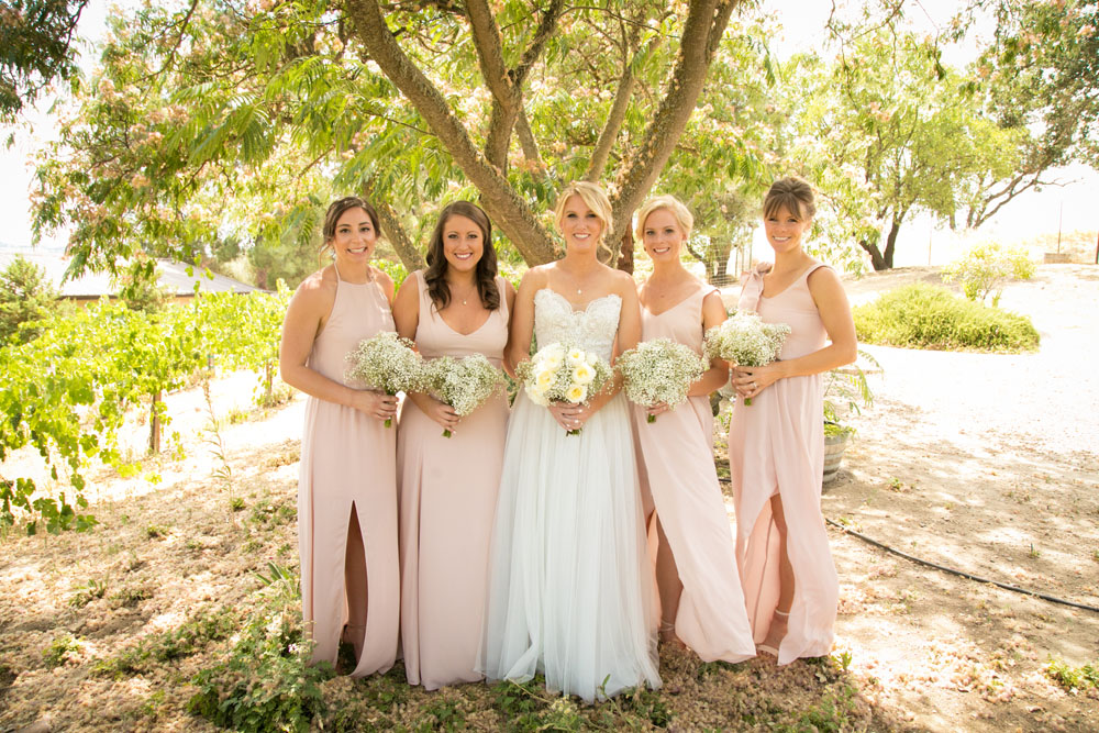 Paso Robles Wedding Photographer Still Waters Vineyard012.jpg