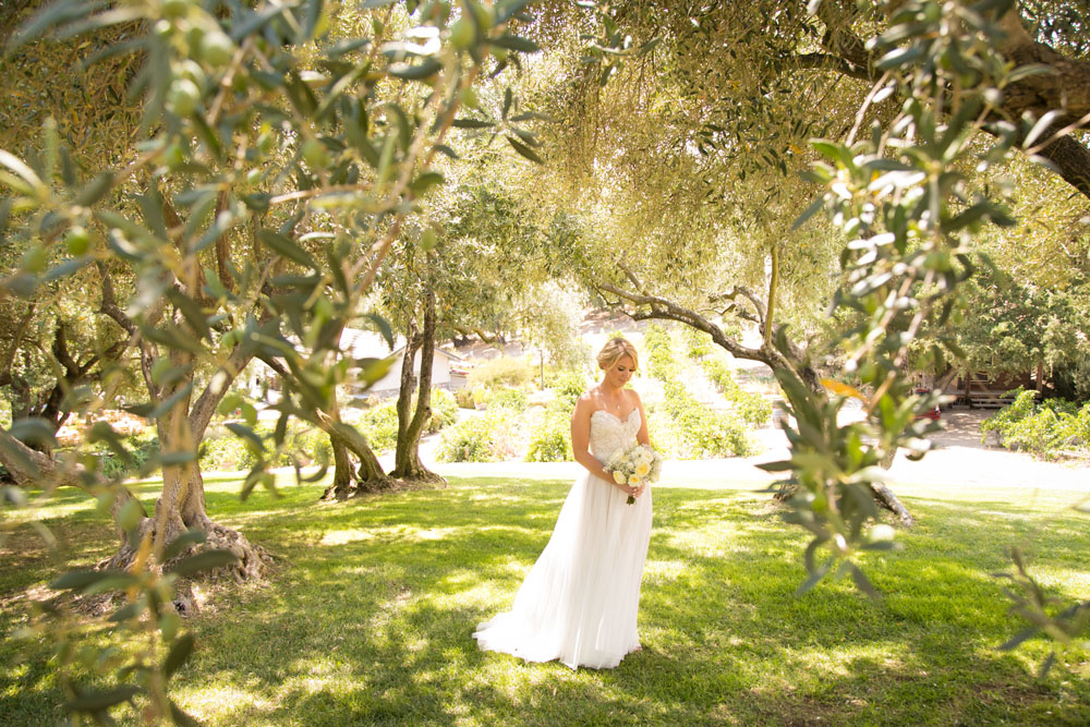 Paso Robles Wedding Photographer Still Waters Vineyard031.jpg