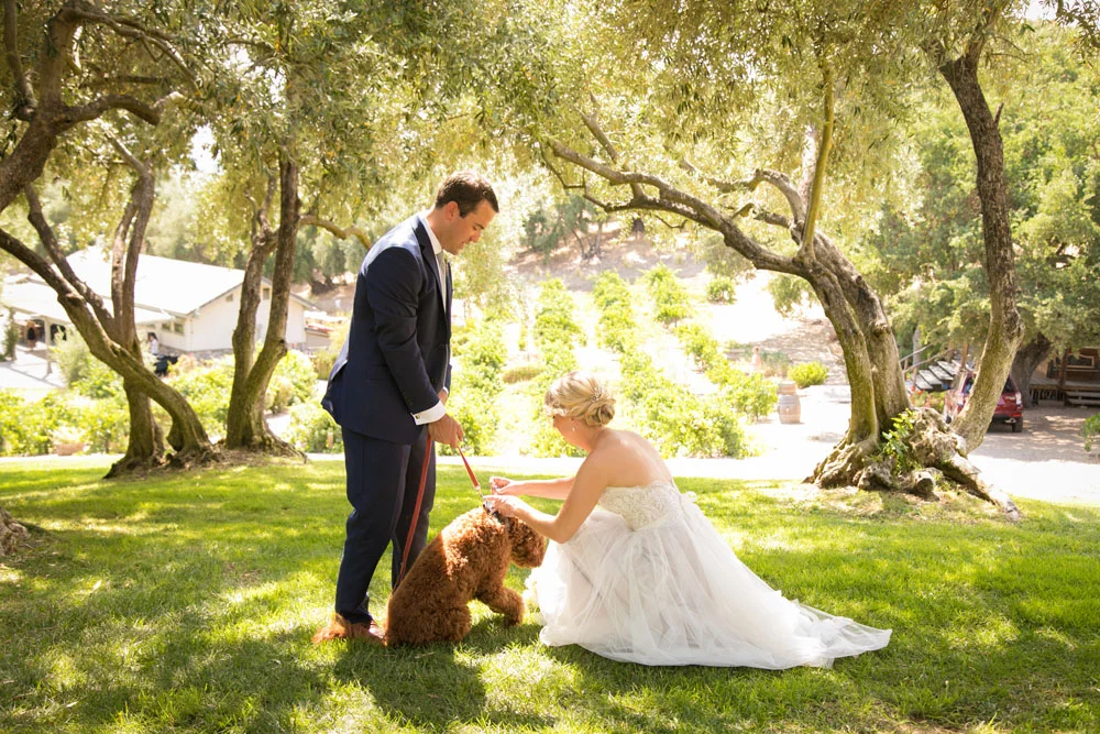 Paso Robles Wedding Photographer Still Waters Vineyard055.jpg