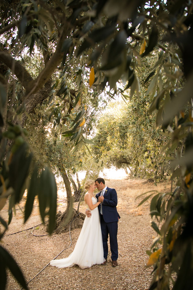 Paso Robles Wedding Photographer Still Waters Vineyard117.jpg