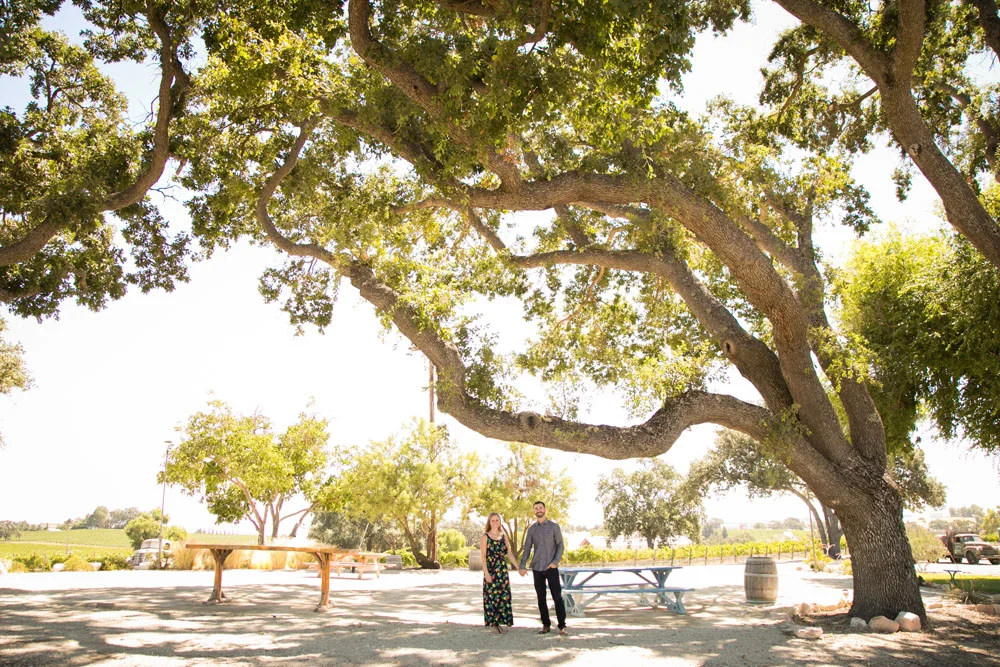 Paso Robles Wedding Photographer J Dusi 011.jpg