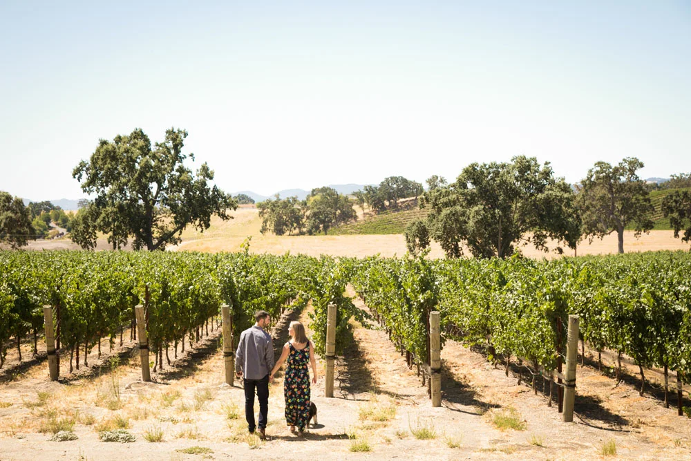 Paso Robles Wedding Photographer J Dusi 034.jpg