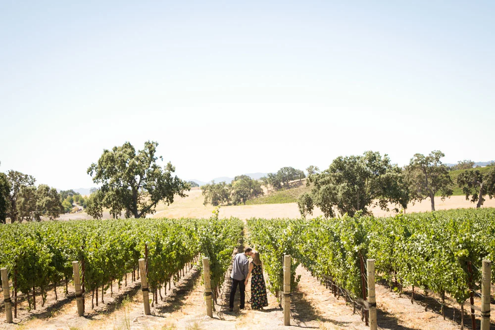 Paso Robles Wedding Photographer J Dusi 035.jpg
