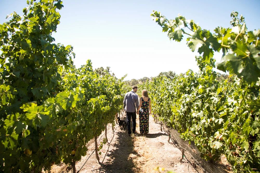 Paso Robles Wedding Photographer J Dusi 036.jpg