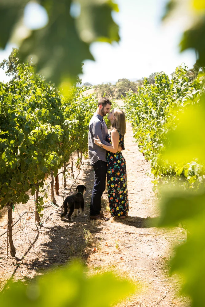 Paso Robles Wedding Photographer J Dusi 037.jpg