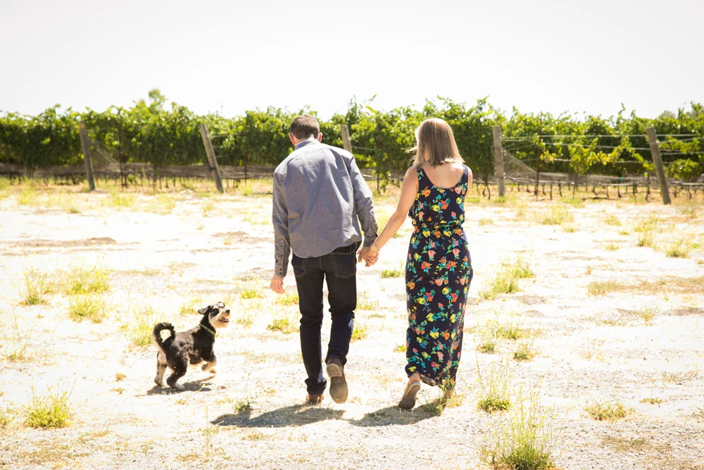 Paso Robles Wedding Photographer J Dusi 041.jpg