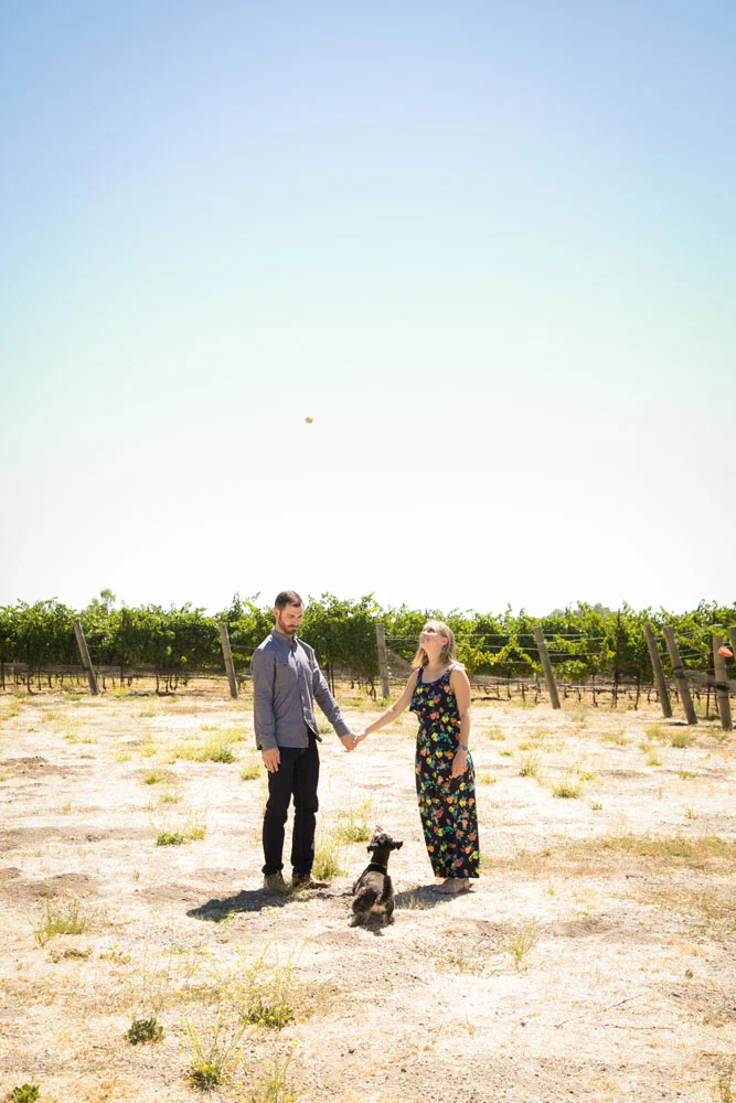 Paso Robles Wedding Photographer J Dusi 047.jpg