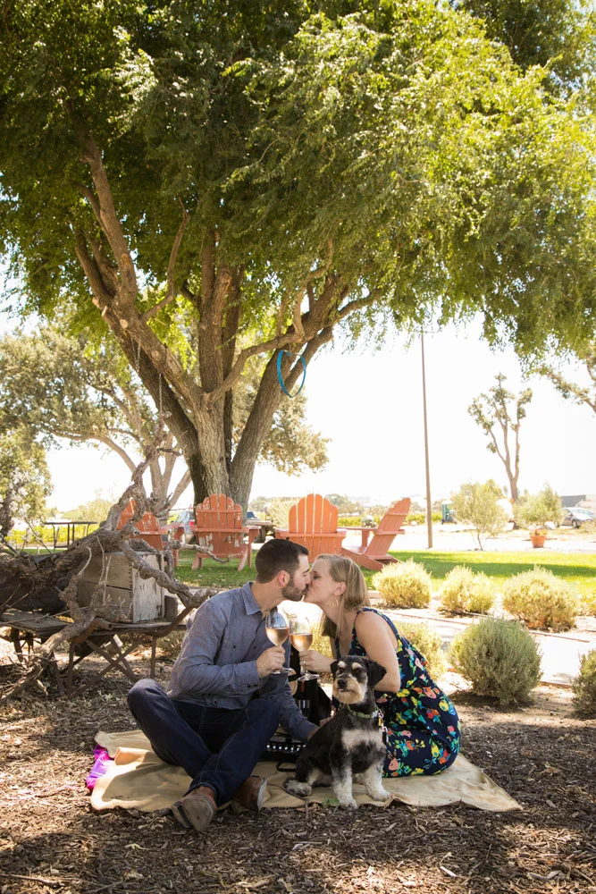 Paso Robles Wedding Photographer J Dusi 065.jpg